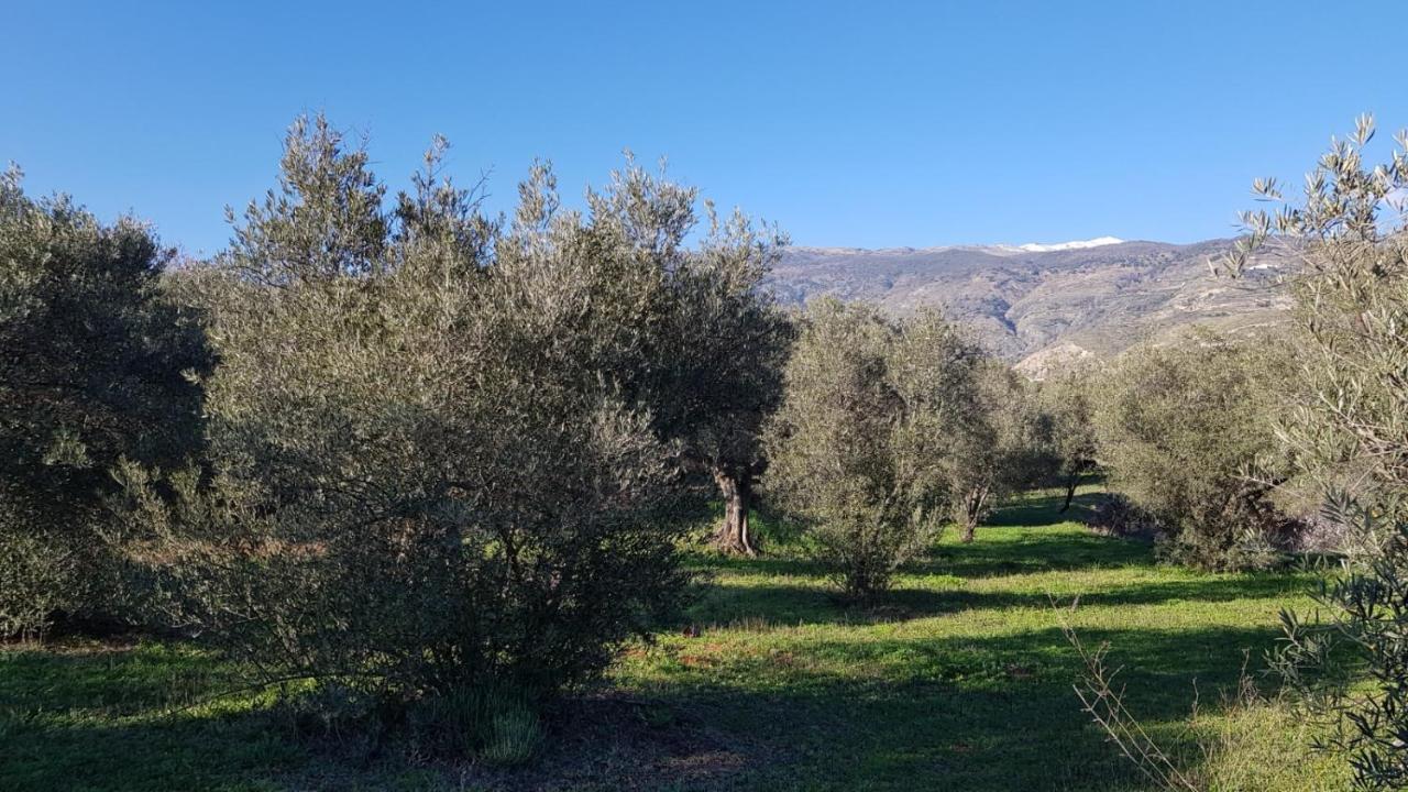 奥尔希瓦 Gateway To The Alpujarras, 'Cortijo Derry'酒店 外观 照片