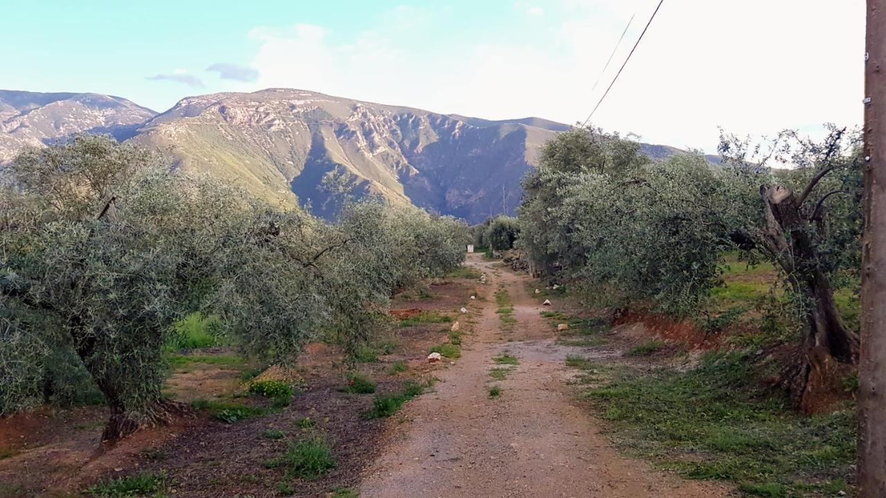 奥尔希瓦 Gateway To The Alpujarras, 'Cortijo Derry'酒店 外观 照片
