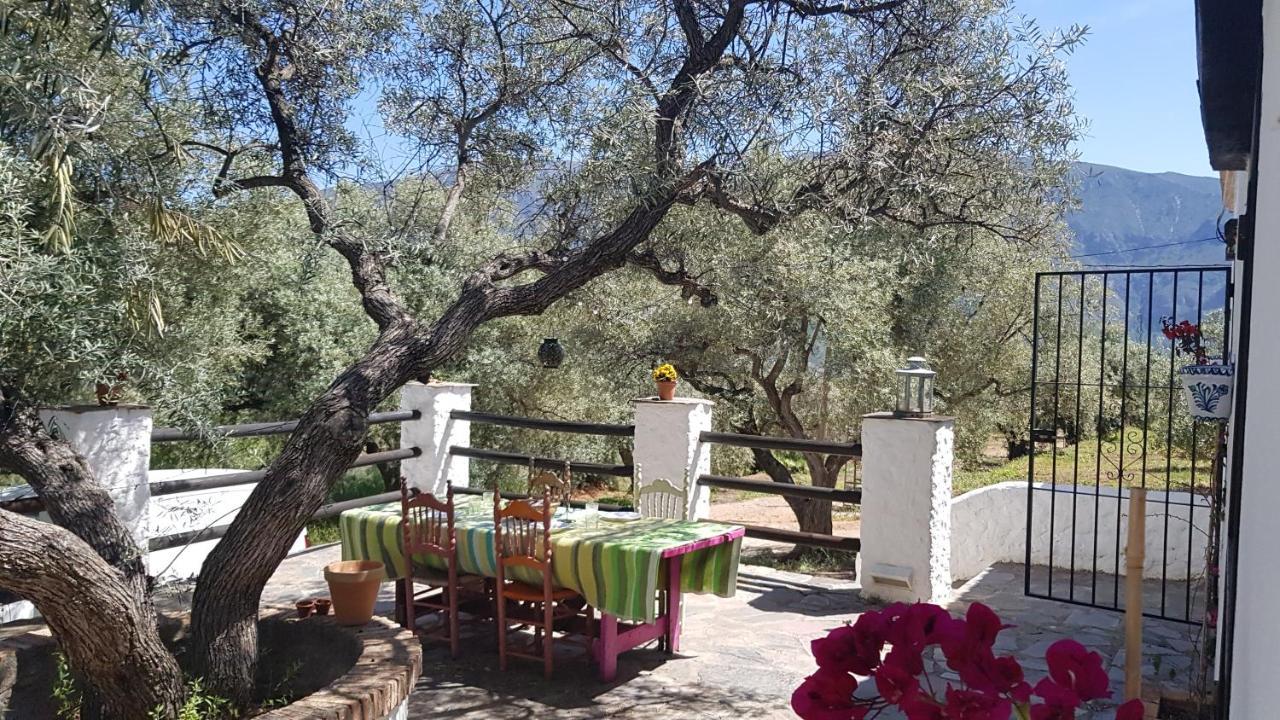 奥尔希瓦 Gateway To The Alpujarras, 'Cortijo Derry'酒店 外观 照片