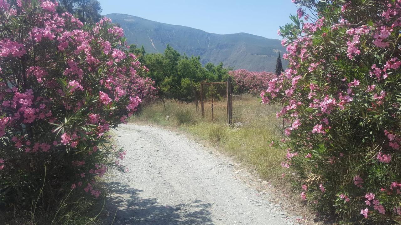 奥尔希瓦 Gateway To The Alpujarras, 'Cortijo Derry'酒店 外观 照片
